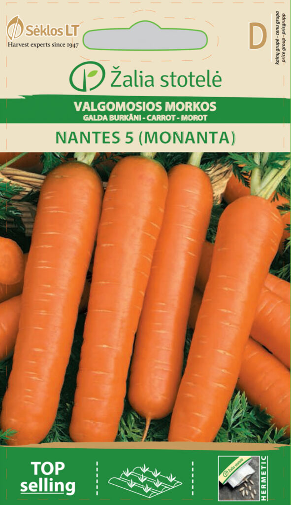 Porgand Nante 5 Monanta - Daucus carota L.