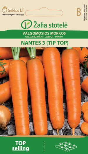 Porgand Nantes 3- Daucus carota L.