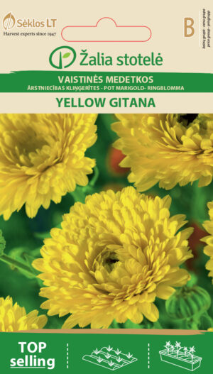 Harilik saialill Pot Marigold Yellow Gitana - Calendula officinalis L. Harilik saialill Pot Marigold Yellow Gitana - Calendula officinalis L.
