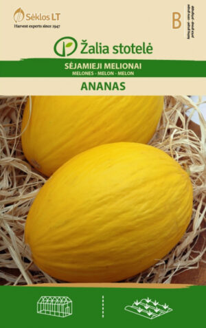 Melon Ananas Cucumis melo L. B Melon Ananas Cucumis melo L. B