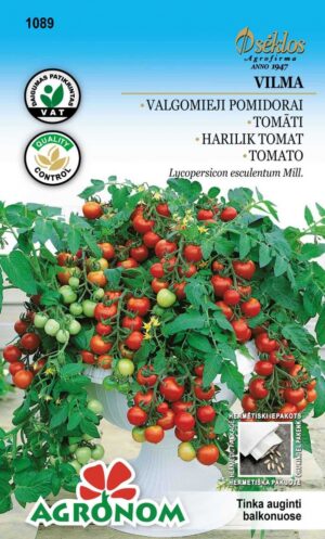 Tomat Vilma mini - Solanum lycopersicum L.