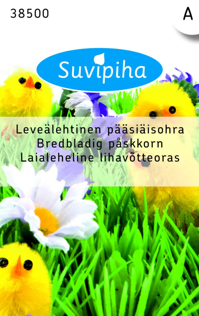 Laialeheline lihavõtteoras 10g (Barley-Hordeum vulgare) A