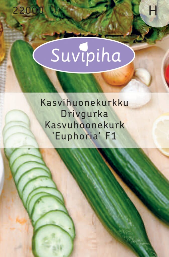 Kurk Euphoria F1  6s (kasvuhoone)  H