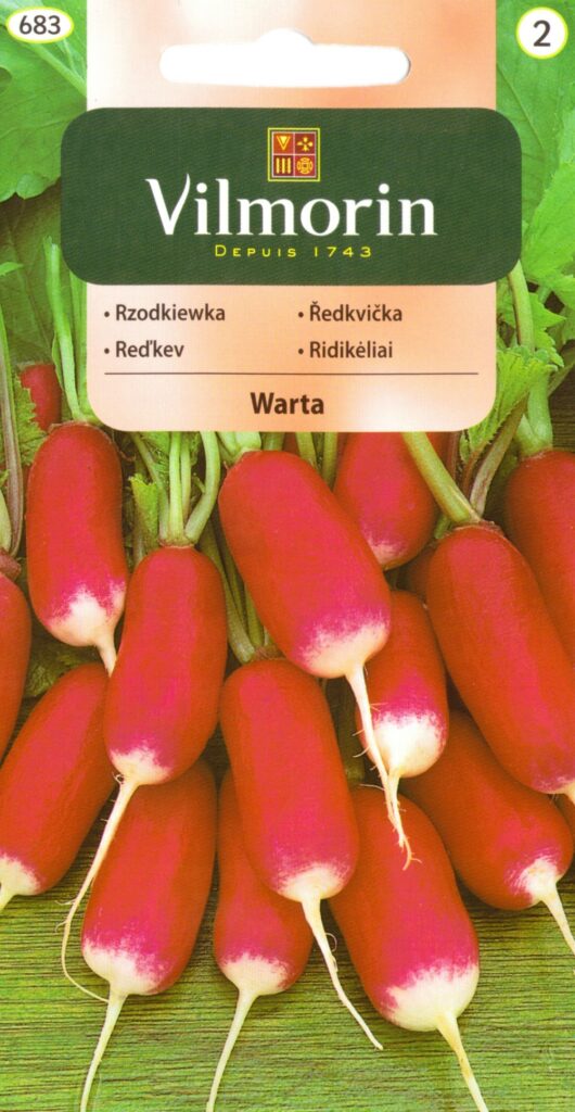 Redis Warta Raphanus sativus