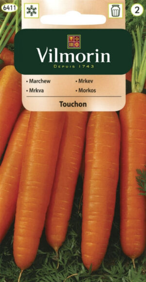 Porgand Touchon Daucus carota Porgand Touchon Daucus carota