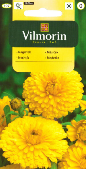 Harilik saialill Calendula offic. kollane Harilik saialill Calendula offic. kollane