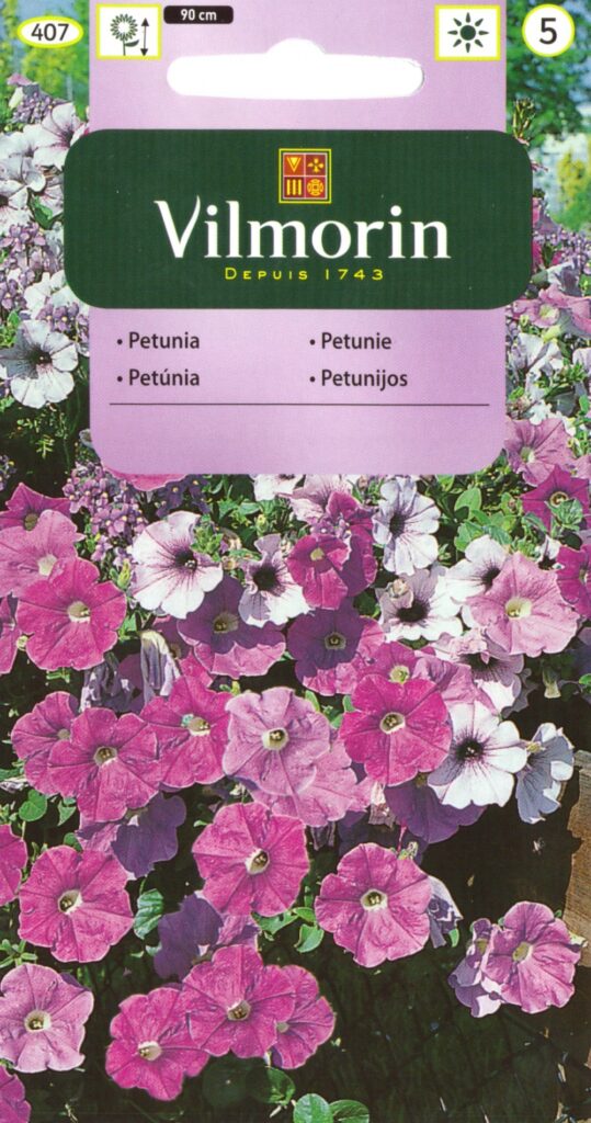 Ripp-petuunia Petunia pendula