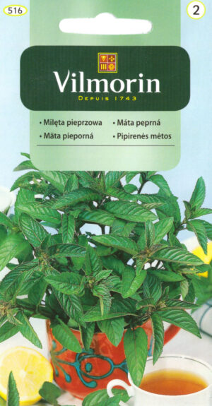 Piparmünt Mentha piperita