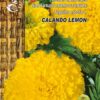 Kõrge peiulill African Marigold Calando Lemon - Tagetes erecta L.