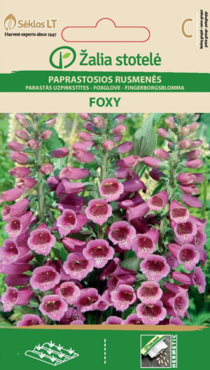 Verev sõrmkübar Purple Foxglove Foxy Mix - Digitalis purpurea