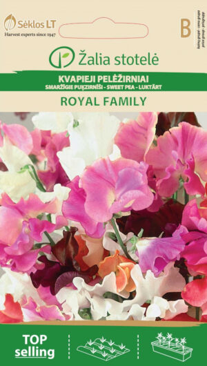 Lõhnav lillhernes Sweet Pea Royal Family - Lathyrus odoratus L. Lõhnav lillhernes Sweet Pea Royal Family - Lathyrus odoratus L.
