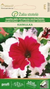 Petuunia Petunia Grandiflora Karkulka - Petunia hybrida grandiflora