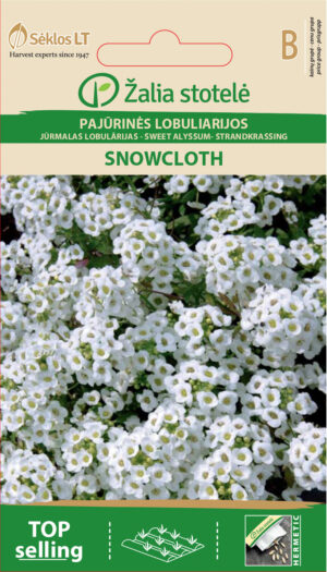 Rand-kivikilbik Sweet Alyssum Snowcloth - Lobularia maritima (L.) Desv. Rand-kivikilbik Sweet Alyssum Snowcloth - Lobularia maritima (L.) Desv.
