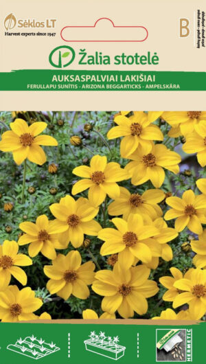 Kuldne ruse Bur-Marigold Annual Yellow - Bidens aurea