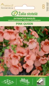 Harilik kaksikkannus Twinspur Pink Queen - Diascia barbarea
