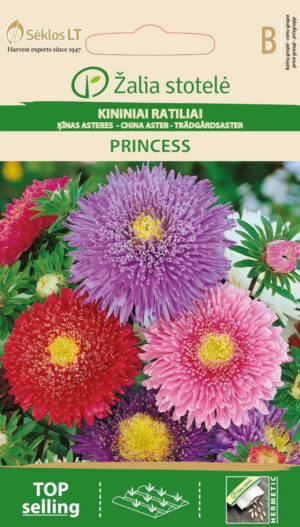 Aedaster China Aster Princess Mix - Callistephus chinensis L. Ness Aedaster China Aster Princess Mix - Callistephus chinensis L. Ness