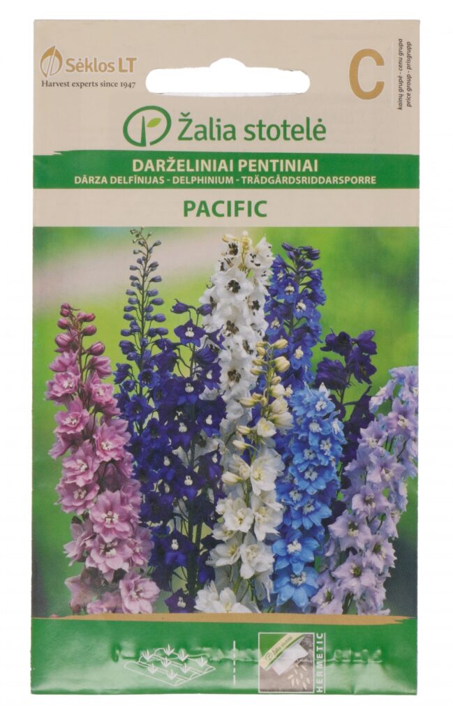 Aed-kukekannus Delphinium Pacific - Delphinium cultorum