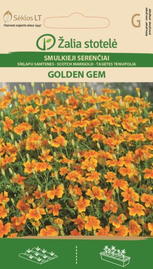 Ahtalehine peiulill Scotch Marigold Golden Gem- Tagetes tenuifolia Cav.