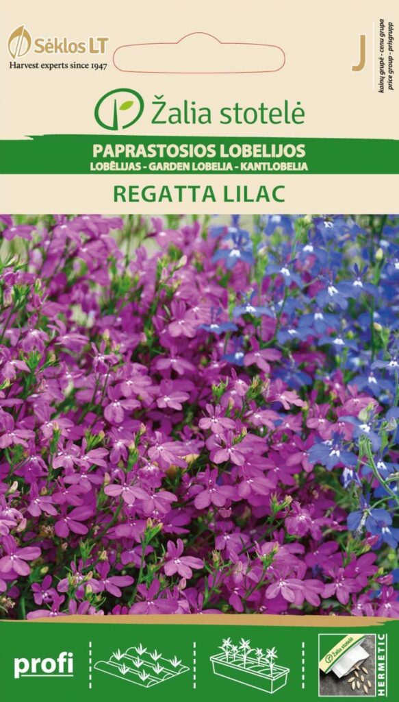 Aedlobeelia Lobelia Cascade Regatta Lilac - Lobelia erinus L.