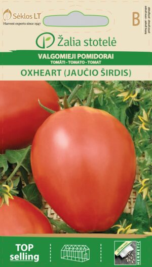 Tomat Oxheart - Solanum lycopersicum L.