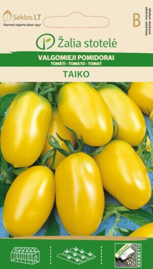 Tomat Taiko - Solanum lycopersicum L.