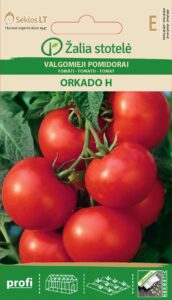 Tomat Orkado H - Solanum lycopersicum L.