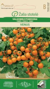 Tomat Venus - Solanum lycopersicum L.