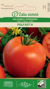 Tomat Polfast H - Solanum lycopersicum L.