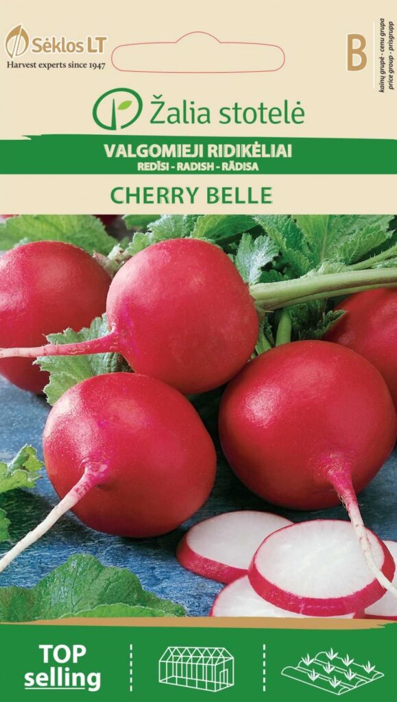 Redis Cherry Belle - Raphanus sativus L.