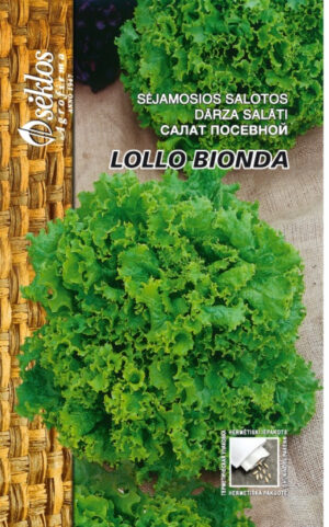 Salat Lollo Bionda - Lactuca sativa L.
