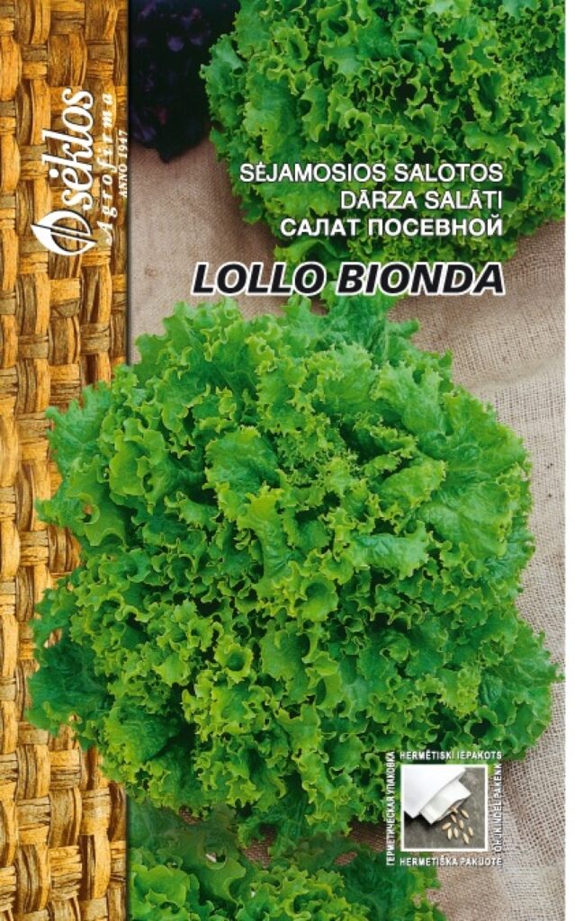 Salat Lollo Bionda - Lactuca sativa L.