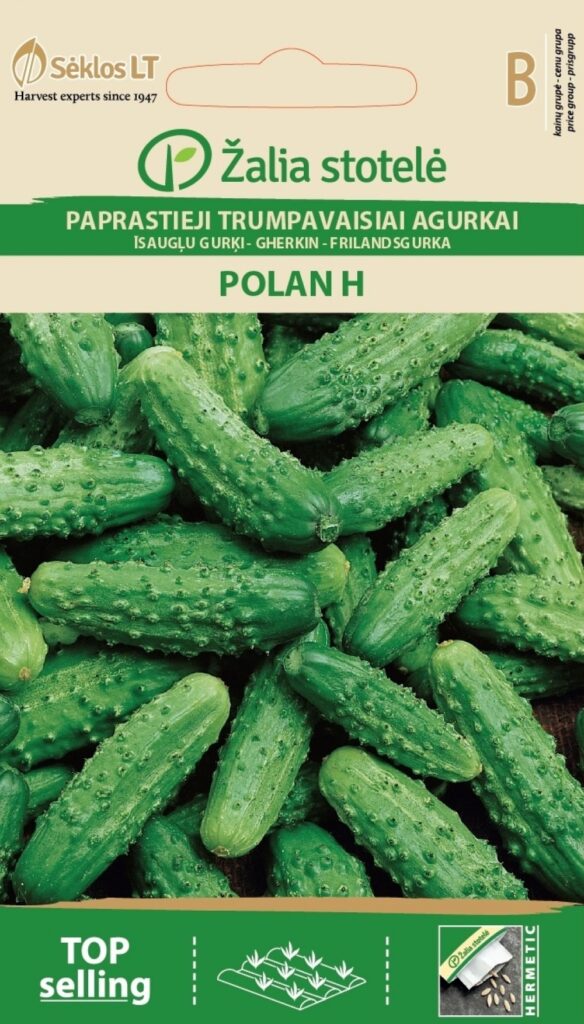 Kurk Polan H - Cucumis sativus L.