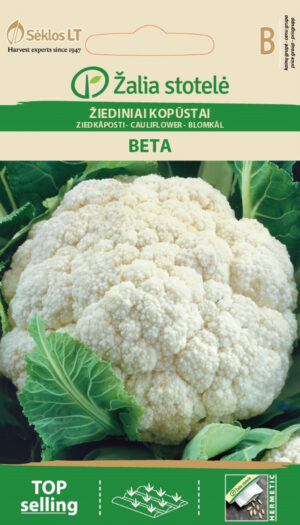 Lillkapsas Beta - Brassica oleracea L. Lillkapsas Beta - Brassica oleracea L.