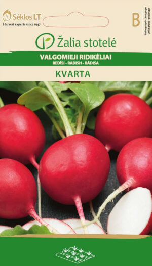 Redis Kvarta - Raphanus sativus L. Redis Kvarta - Raphanus sativus L.