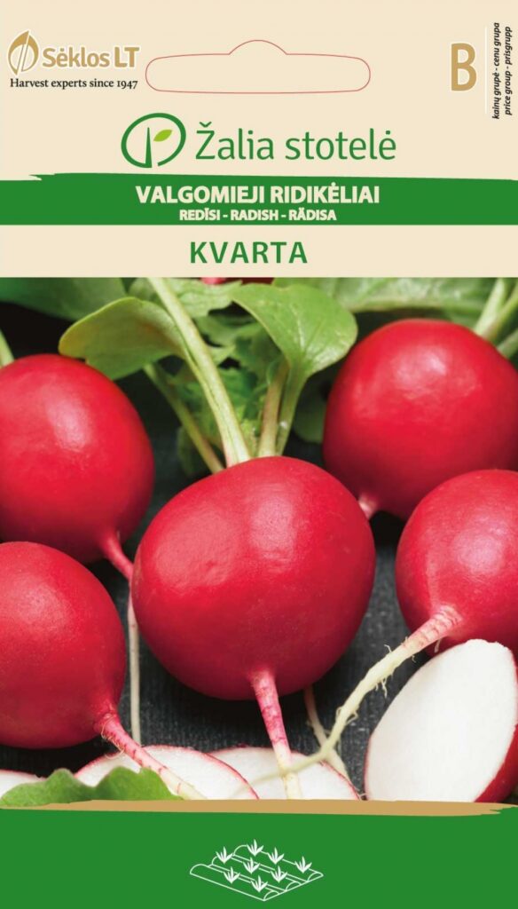 Redis Kvarta - Raphanus sativus L.