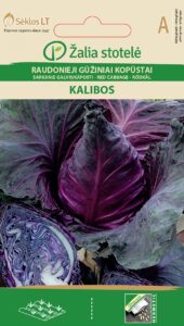 Punane kapsas Kalibos - Brassica oleracea L.