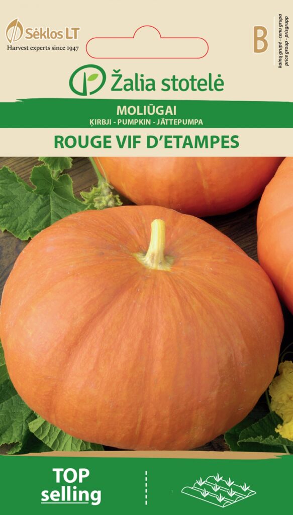 Kõrvits Rouge vif d'etampes - Cucurbita maxima Duchesne