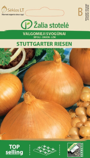 Sibul Stuttgarter Riesen - Allium cepa L. Sibul Stuttgarter Riesen - Allium cepa L.