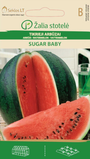 Arbuus Sugar baby - Citrullus lanatus (Thunb.) Matsum. et Nakai Arbuus Sugar baby - Citrullus lanatus (Thunb.) Matsum. et Nakai