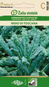 Lehtkapsas Nero di toscana - Brassica oleracea L.