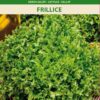 Lehtsalat Frillice - Lactuca sativa L.
