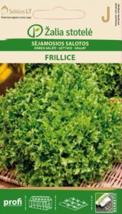 Lehtsalat Frillice - Lactuca sativa L.