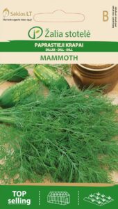 Till Mammouth - Anethum graveolens L.