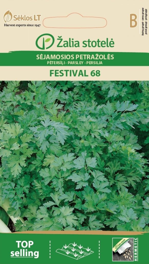 Petersell Festival 68 - Petroselinum crispum Miller Nyman ex A. W. Hill