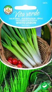 Salatisibul White Lisbon /TK/