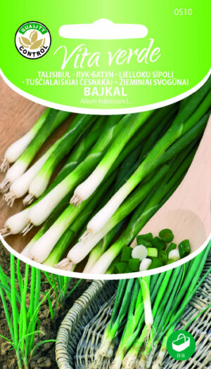 Talisibul Bajkal Talisibul Bajkal