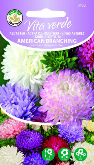 Aedaster American Branching Aedaster American Branching