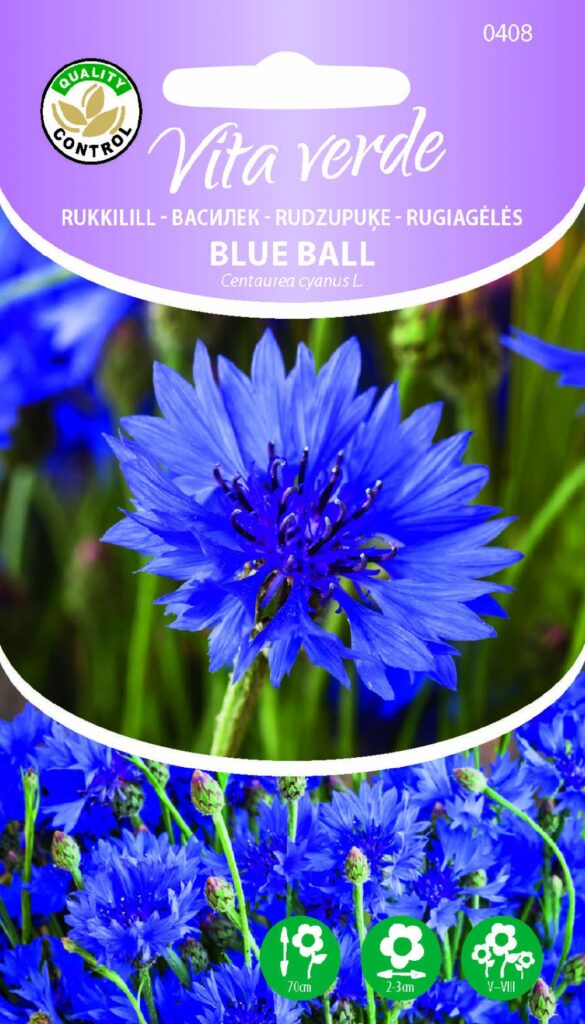 Rukkilill Blue Ball