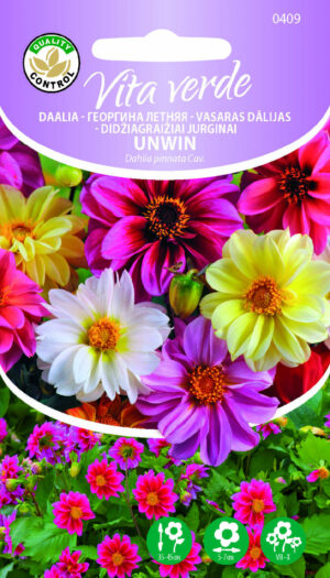 Daalia Unwin Daalia Unwin