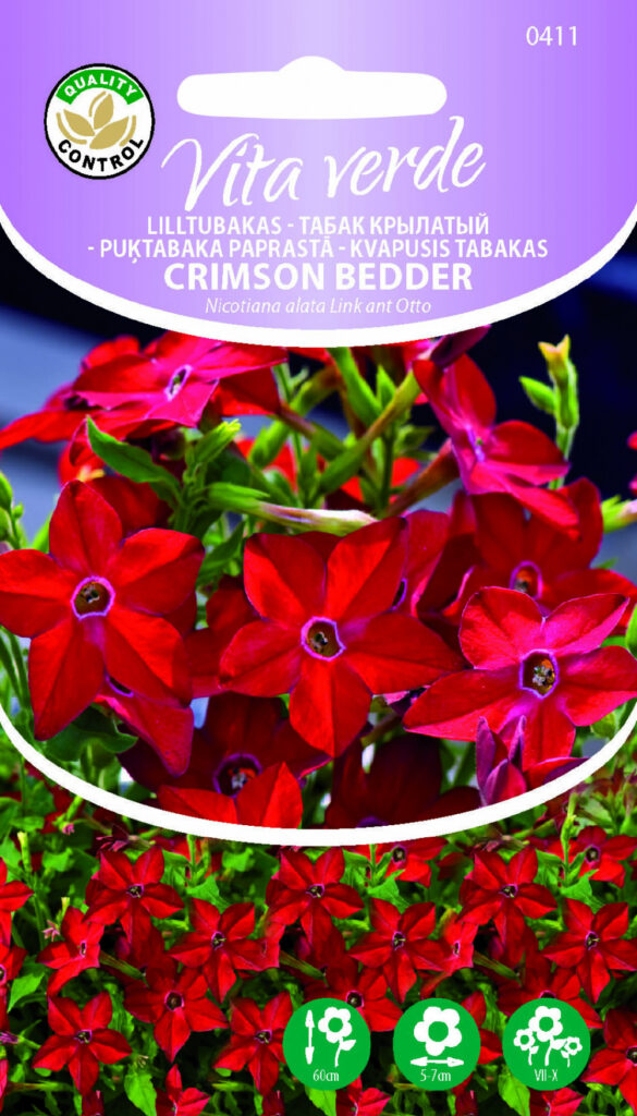 Lilltubakas Crimson Bedder